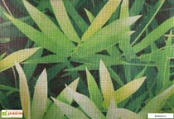 Échantillon De Brise Vue Décoratif -Promos Grillet Jardin Boutique bambou