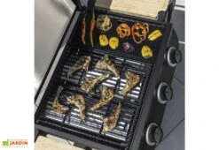 Barbecue Au Gaz Sur Chariot En Métal – 3 Brûleurs -Promos Grillet Jardin Boutique barbecue au gaz 1 1