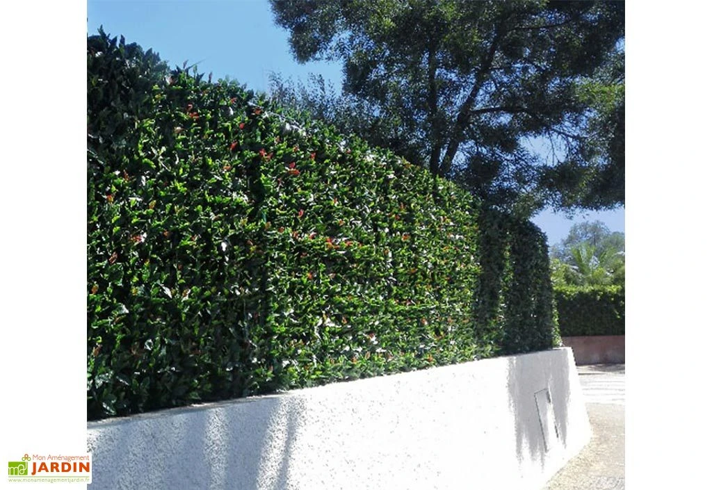 Haie Artificielle Photinia 1 X 1 M 2 Haie Artificielle Photinia 1 X 1 M – Image 2