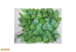 Haie Artificielle Feuilles De Rosier Treillis Extensible Sur Mesure 1x2m 10 Haie Artificielle Feuilles De Rosier Treillis Extensible Sur Mesure 1x2m -Promos Grillet Jardin Boutique haie artificielle rosier treillis 3