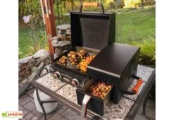Plancha à Gaz 2 Brûleurs 12,5 KW + Friteuse à Air Blackstone AR 17’’ -Promos Grillet Jardin Boutique plancha jardin friteuse blackstone
