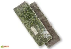 Haie Artificielle De Laurier - Treillis Extensible (pls Dim.) -Promos Grillet Jardin Boutique treillis extensible feuillage artificiel laurier